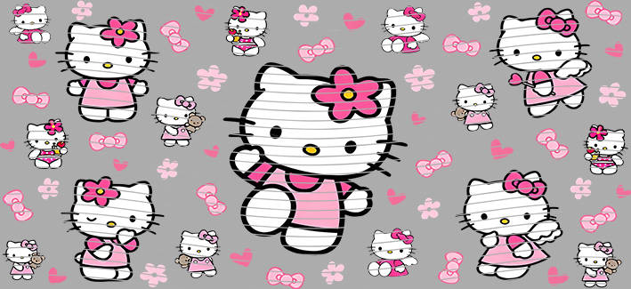 16oz Sanrio-SO-952